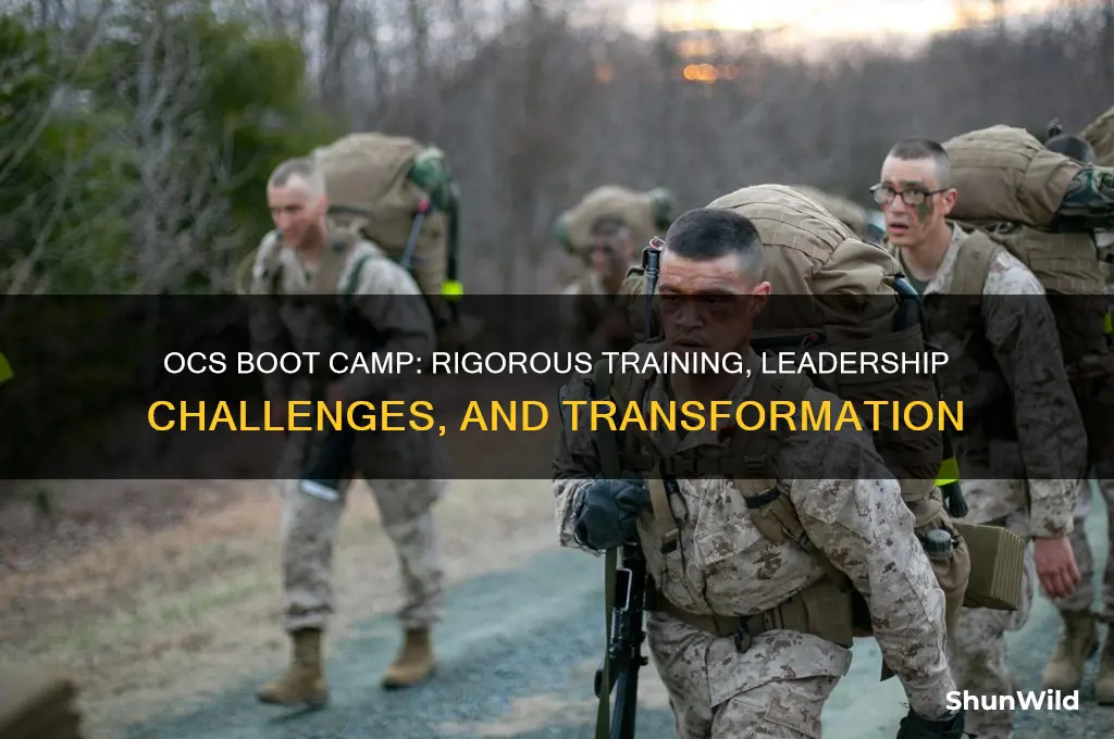 what is army boot camp like for ocs people