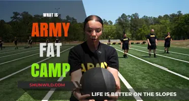 Understanding Army Fat Camp: Purpose, Training, and Benefits Explained