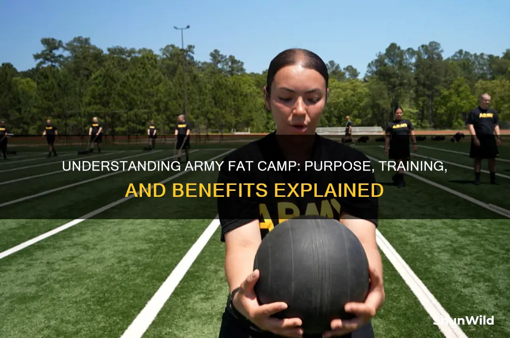 what is army fat camp