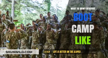 Army Reserve Boot Camp: Training, Challenges, and Life-Changing Experience