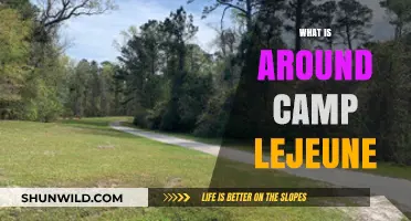 Exploring Camp Lejeune: Nearby Attractions, Towns, and Hidden Gems