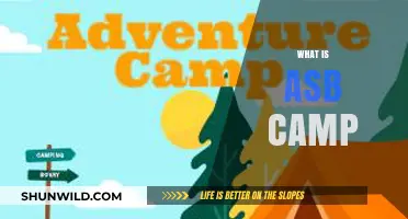 Discover the Adventure: What is ASB Camp and Why It Matters