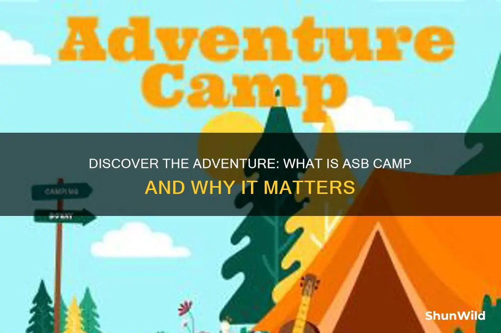 what is asb camp