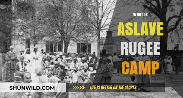 Understanding Slave Refugee Camps: Origins, Conditions, and Global Impact