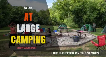 Exploring the Freedom of At-Large Camping: A Beginner's Guide