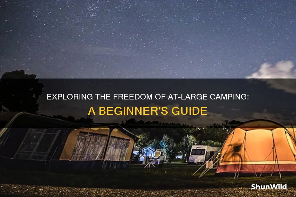 what is at large camping