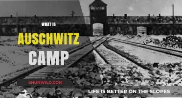 Auschwitz Camp: Uncovering the Dark History of a Nazi Death Camp