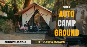 Exploring Auto Campgrounds: Your Ultimate Guide to Car Camping Adventures
