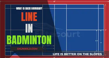 Back Boundary Line in Badminton: Where to Draw the Line