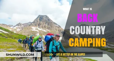 Exploring the Wild: A Beginner's Guide to Backcountry Camping