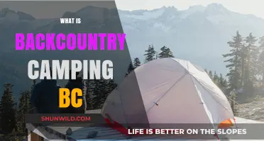 Exploring BC's Wilderness: A Beginner's Guide to Backcountry Camping