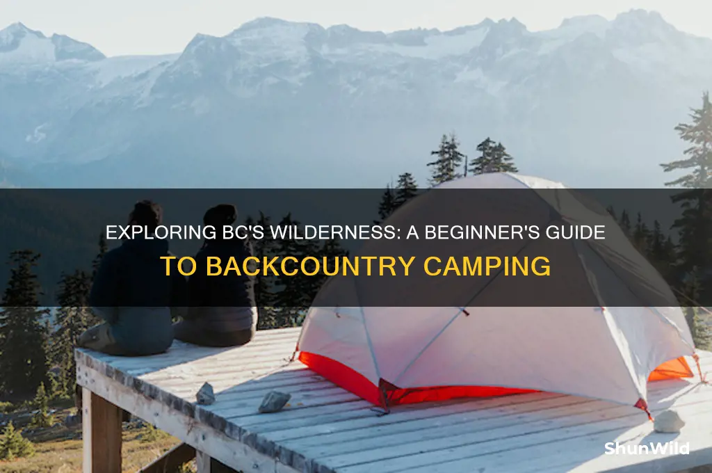 what is backcountry camping bc