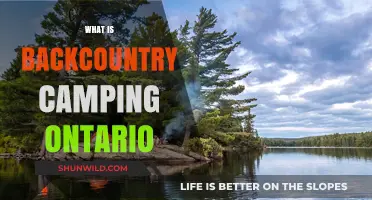 Exploring Ontario's Backcountry: A Beginner's Guide to Camping Adventures