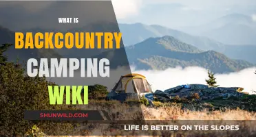 Backcountry Camping Explained: A Comprehensive Wiki Guide for Beginners