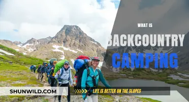 Exploring the Wild: A Beginner's Guide to Backcountry Camping