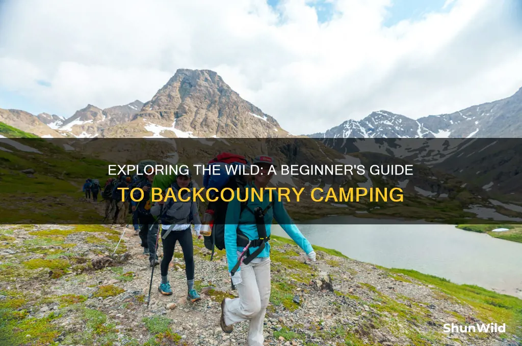 what is backcountry camping