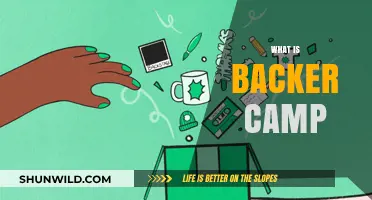 Understanding Backer Camp: A Beginner's Guide to Crowdfunding Success