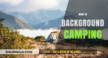 Exploring the Basics: What is Background Camping and How to Start