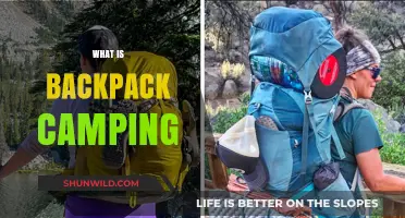 Backpack Camping 101: Essential Gear, Tips, and Adventure Basics