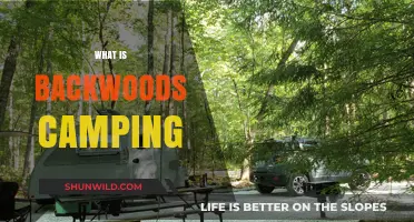 Exploring the Wild: A Beginner's Guide to Backwoods Camping