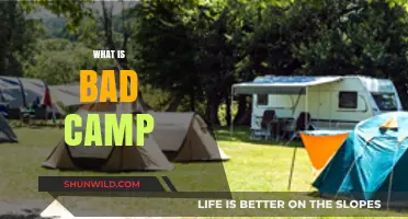 Understanding Bad Camp: Unraveling the Dark Side of Outdoor Adventures