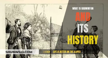 Badminton's Origin: A Historical Perspective