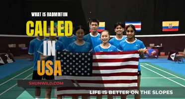 Badminton: The USA's Unique Take on a Global Sport
