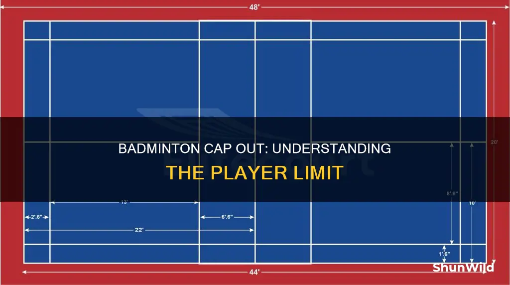 what is badminton cap out