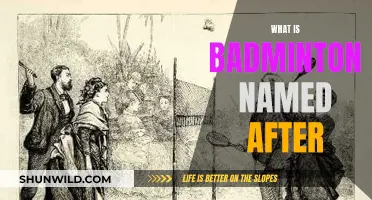 Badminton's Surprising Naming Origins Explained