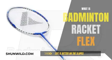 Understanding Badminton Racket Flex