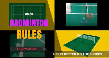 Badminton Rules: A Beginner's Guide