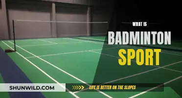 Badminton Basics: A Beginner's Guide to the Sport