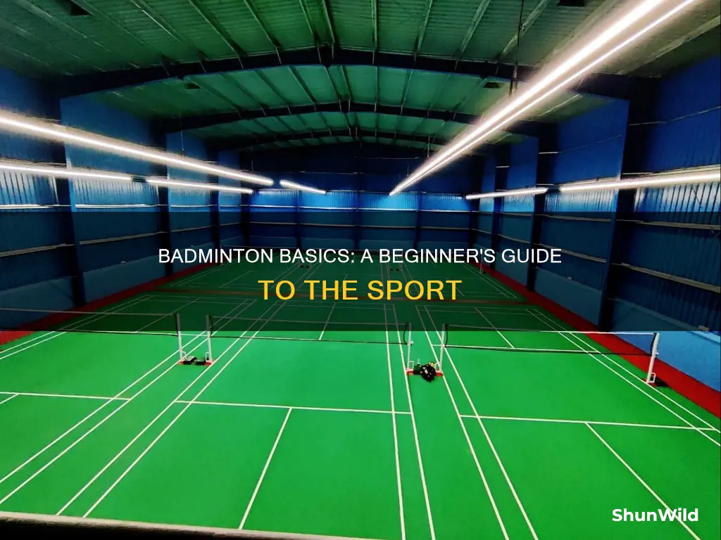 what is badminton sport