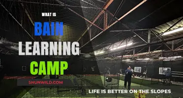 Bain Learning Camp: Unlocking Potential Through Innovative Education Programs
