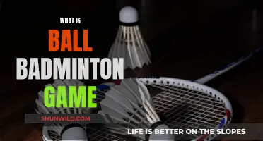 Badminton's Cousin: Ball Badminton Explained