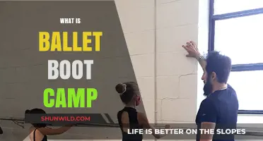 Ballet Boot Camp: Transform Your Body and Technique in Weeks