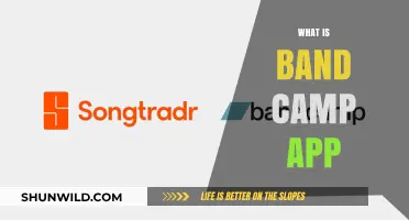 Discover Bandcamp App: Your Ultimate Music Streaming & Discovery Tool