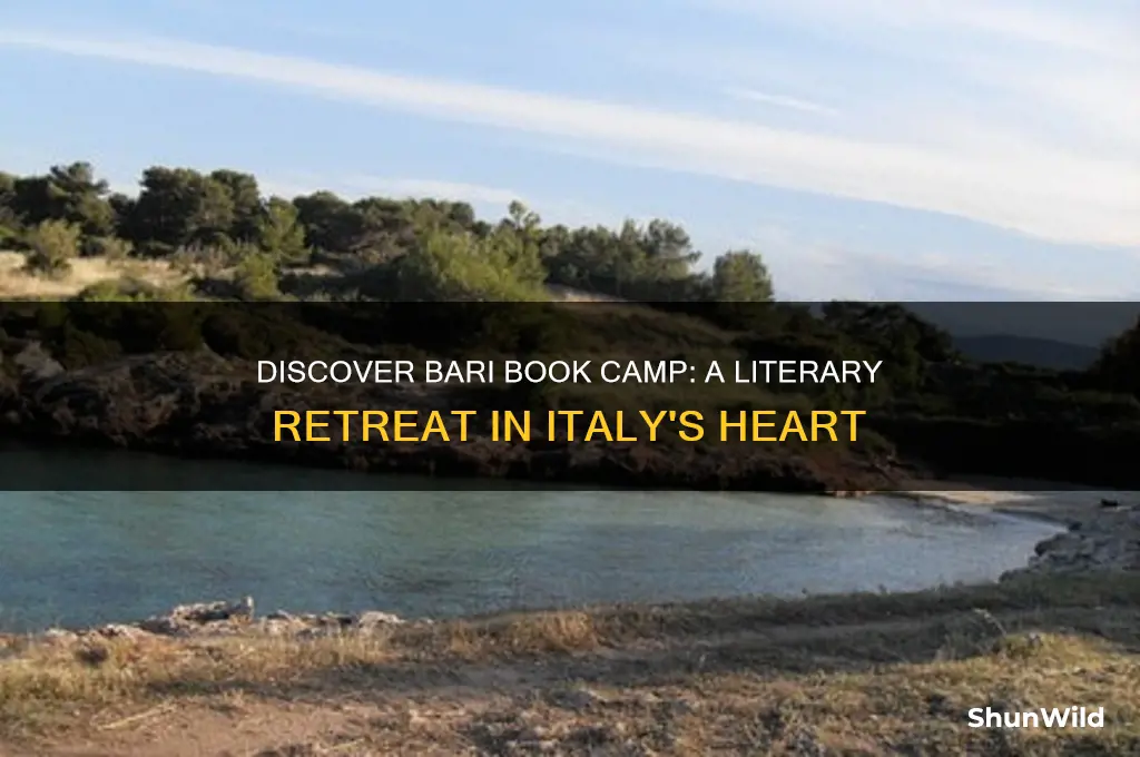 what is bari book camp