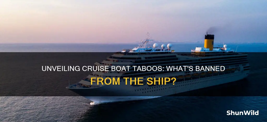 what is barred from going on a cruise boat