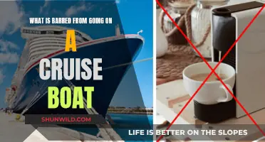 Items Banned on Cruise Ships: What Not to Pack