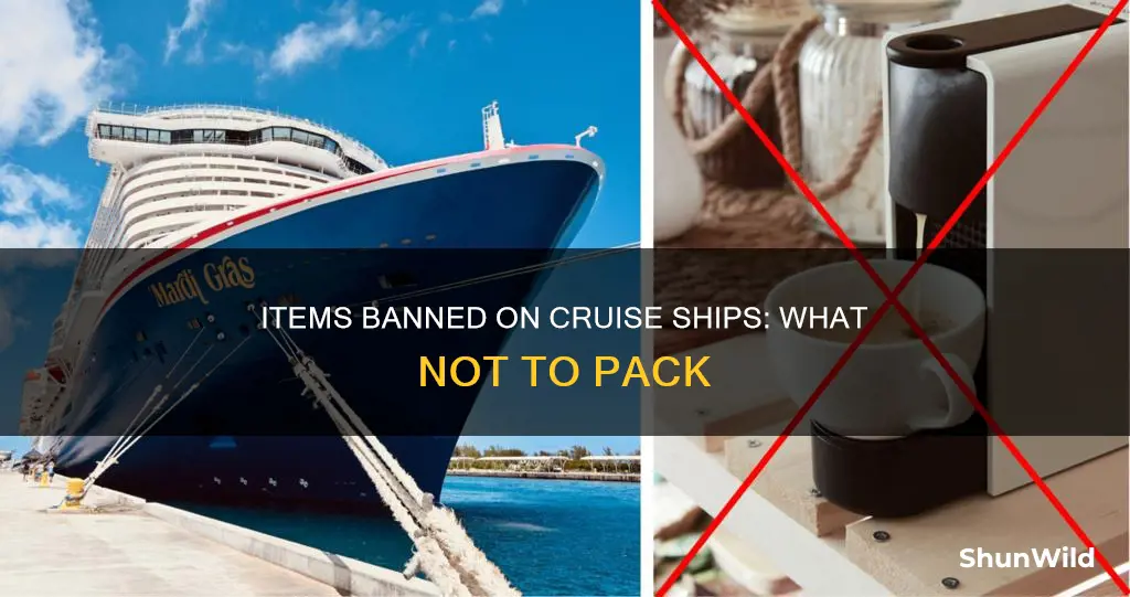 what is barred from going on a cruise boat