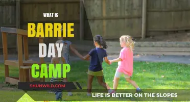 Discover Barrie Day Camp: Fun, Learning, and Adventure for Kids