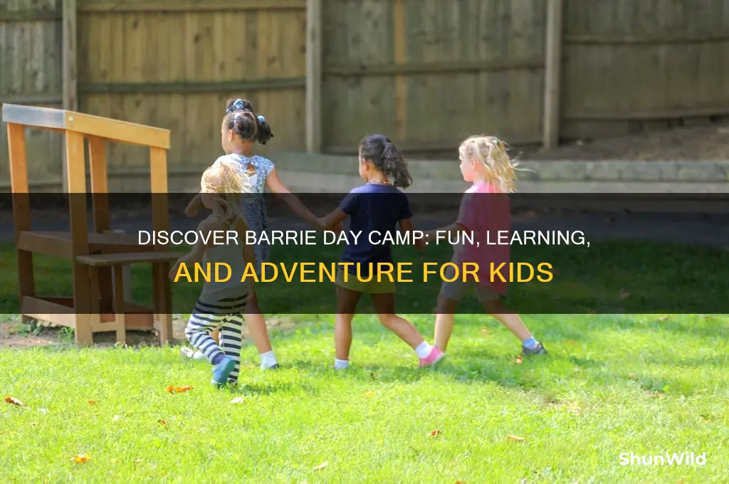 what is barrie day camp