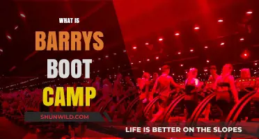 Discover Barry's Bootcamp: High-Intensity Workouts Transforming Fitness Routines
