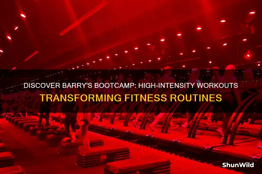 what is barrys boot camp