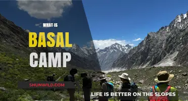 Understanding Basal Camp: Essential Insights for Trekkers and Climbers