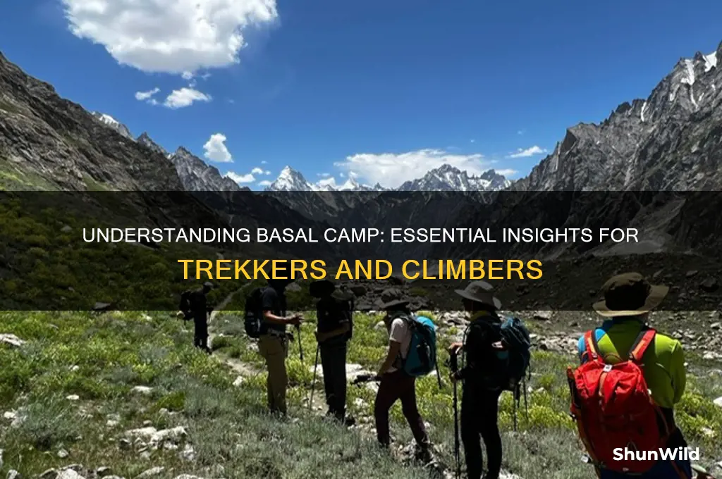 what is basal camp