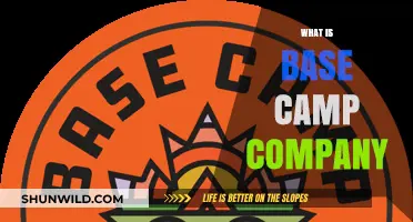 Exploring Base Camp Company: Purpose, Services, and Unique Business Model