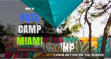 Exploring Base Camp Miami: A Hub for Adventure and Community