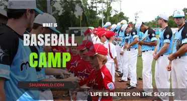Exploring Baseball Camp: Skills, Fun, and Teamwork for Young Players